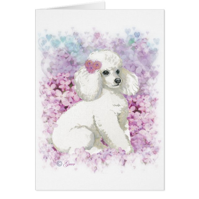 Cartão Poodle Branco na Arte Lilacs e Presentes (Frente)
