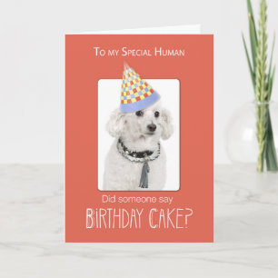 Cartão Poodle Dog para Humor de Aniversário Humano, Lara