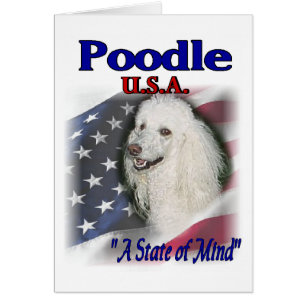 Cartão Poodle Lovers