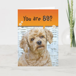 Cartão Poodle marrom do 89º aniversário em wicker