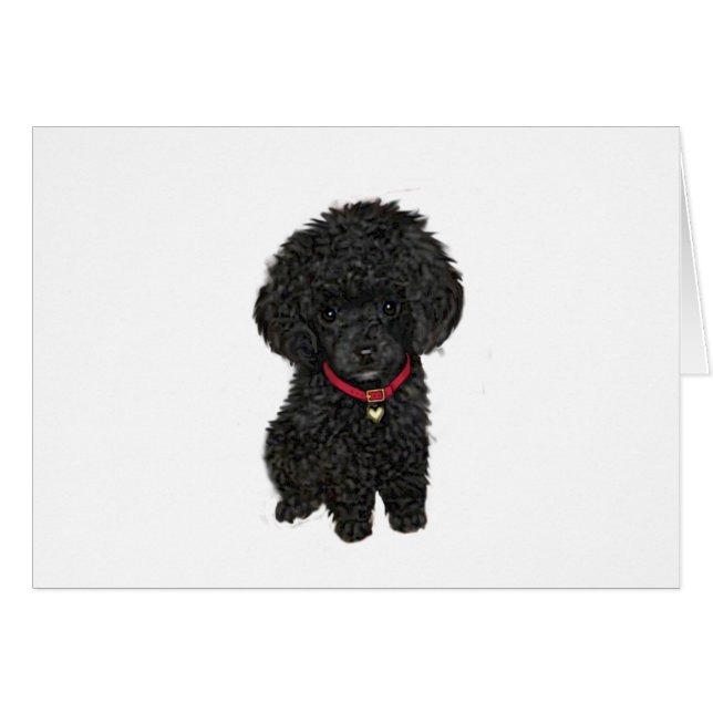 Cartão Poodle Miniatura ou Brinquedo - Preto 1 (Frente Horizontal)