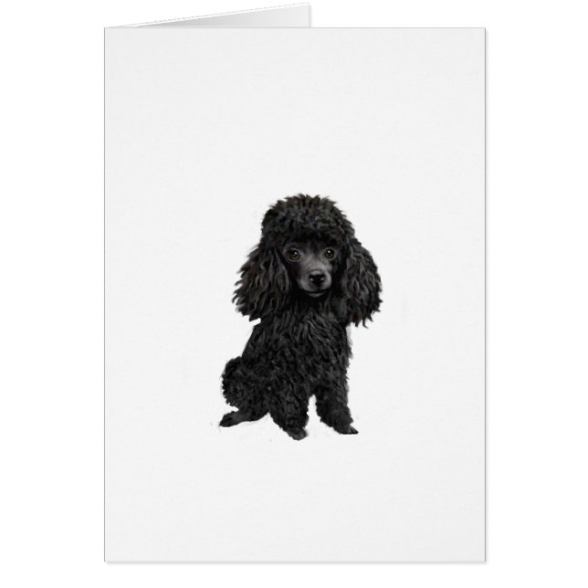 Cartão Poodle Preto ( nº 3) (Frente)