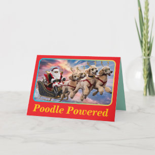 Cartão Poodle Reindeer