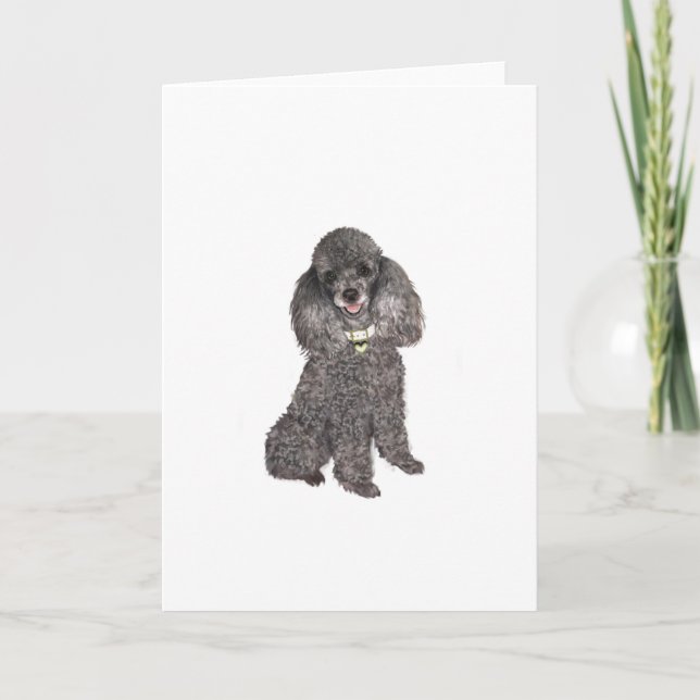 Cartão Poodle - Toy/Miniature Silver (Frente)