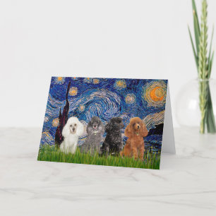 Cartão Poodles (four) - Starry Night