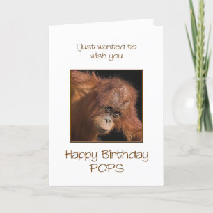 Cartão Pop Aniversário, Orang Utan