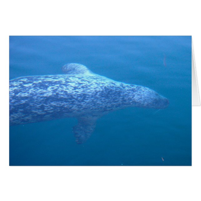 Cartão Popeye o selo (Frente Horizontal)