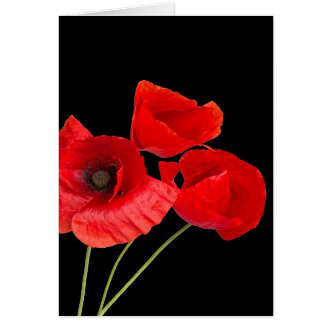 Cartão Poppies (Frente)