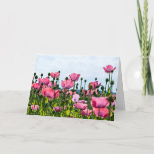 Cartão Poppies Rosa