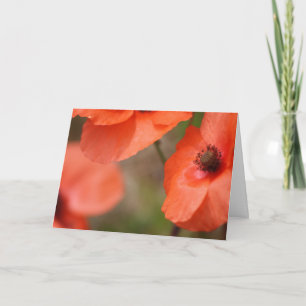 Cartão Poppy Card