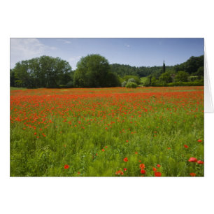 Cartão Poppy field, Chiusi, Itália