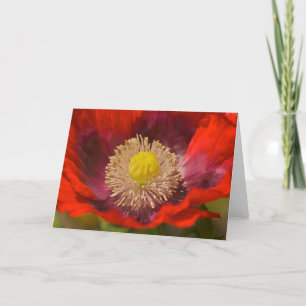 Cartão Poppy Greeting Card