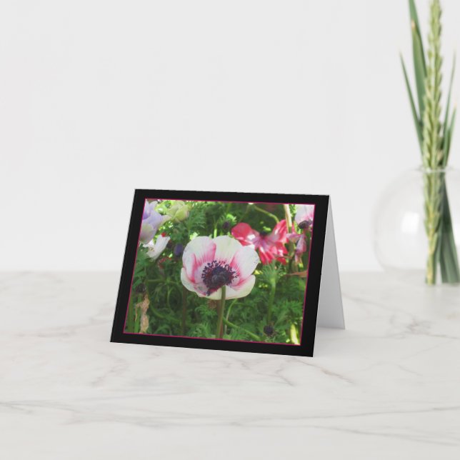 Cartão Poppy Islandês (Frente)