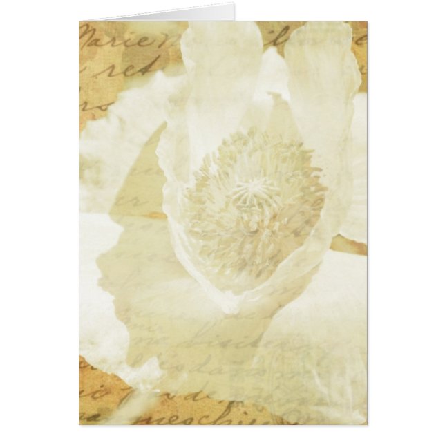 Cartão Poppy Marie (Frente)