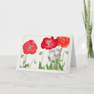 Cartão Poppy por Tanigami Konan