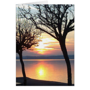 Cartão Pôr do sol, árvores e lago, cartão, em branco