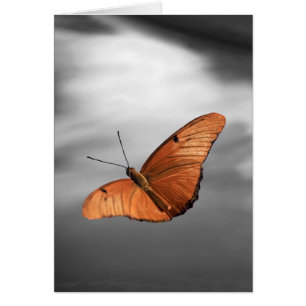 Cartão Por do sol com borboleta