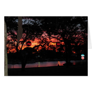 Cartão Por do sol de Florida