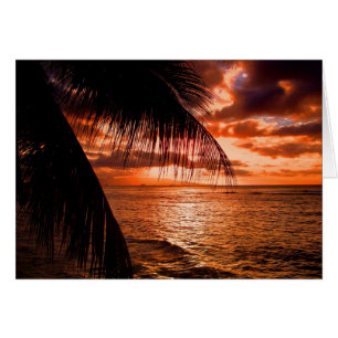 Cartão Por do sol de Waikiki mim