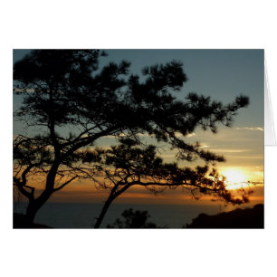 Cartão Por do sol do pinho de Torrey mim paisagem de