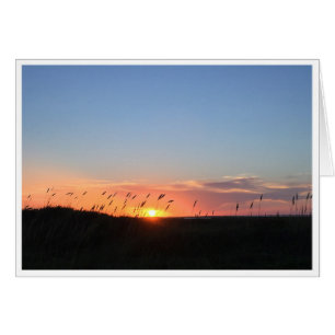 Cartão Por do sol e aveia do mar na praia de Matagorda