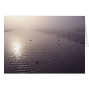 Cartão Por do sol enevoado
