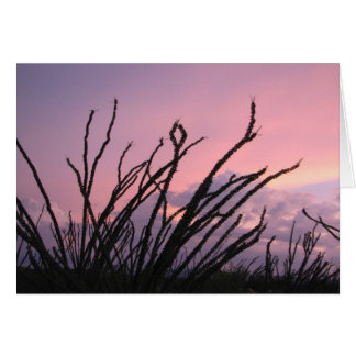 Cartão Pôr do sol nas lavandas