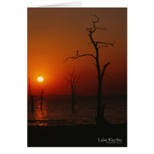 Cartão Pôr do sol no Lago Kariba