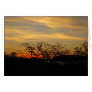 Cartão Por do sol seco da floresta