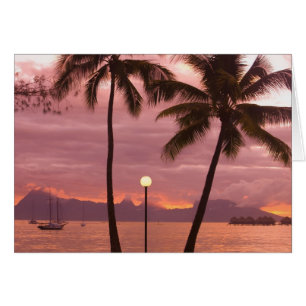 Cartão Pôr do sol sobre Moorea a partir do Sofitel Maeva