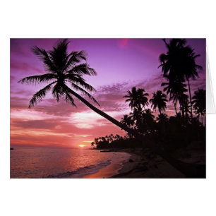 Cartão Por do sol tropical