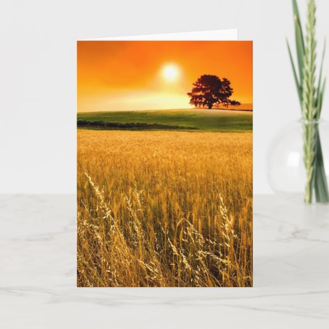 Cartão Por do sol vermelho-sangue (Frente)