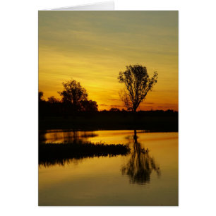 Cartão Pôr do sol, Yellow Water Billabong