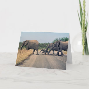 Cartão Por que o elefante atravessou a estrada? (1)