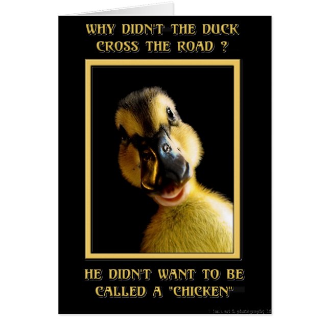 Cartão Por que o pato não atravessou a estrada? (Frente)