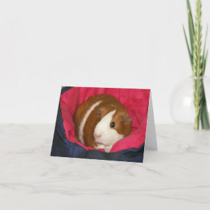 Cartão Porco guineense num Cozie Notecard