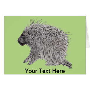 Cartão Porcupine