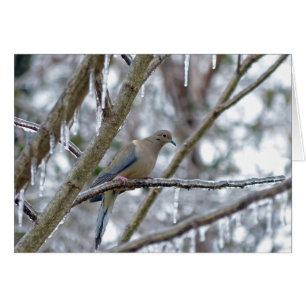Cartão Porta de luto