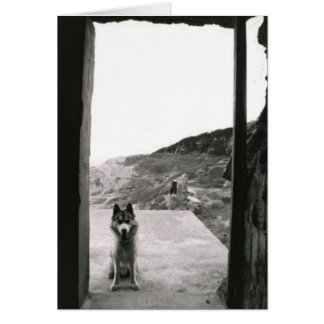 Cartão Porta do Cachorro