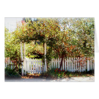 Cartão Porta, McCloud