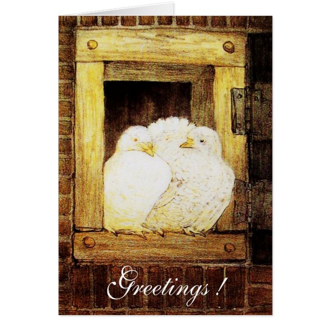 Cartão PORTAS BRANCAS NA JANELA, amarela-acastanhada (Frente)