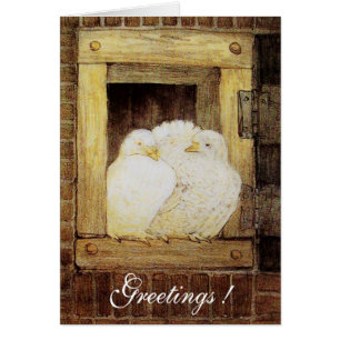 Cartão PORTAS BRANCAS NA JANELA, antiga amarela castanha