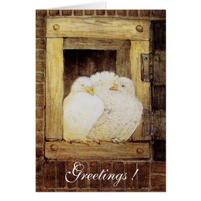 Cartão PORTAS BRANCAS NA JANELA, antiga amarela castanha (Frente)