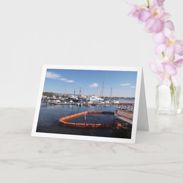 Cartão Porto de Barcas em Pafos, Chipre (Orquídea)