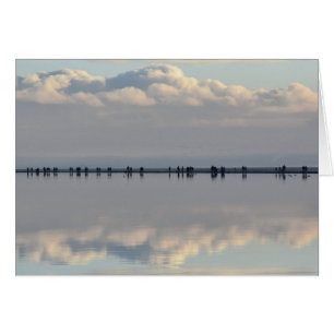 Cartão Porto ocidental de Kirby