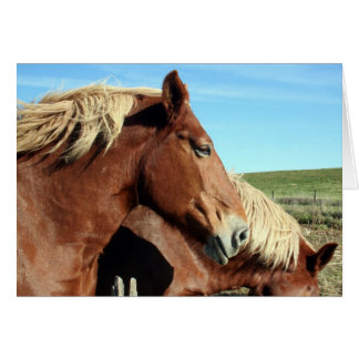 Cartão Portriato de cavalo