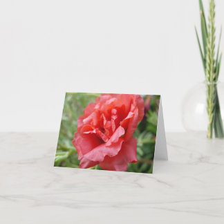 Cartão Portulaca