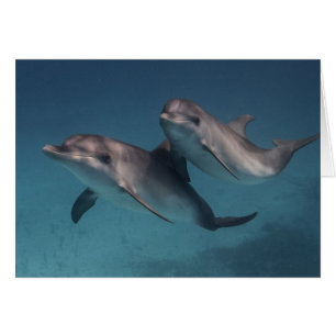 Cartão Pose brincalhão