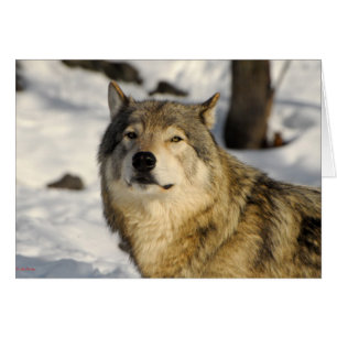 Cartão Posição orgulhosa