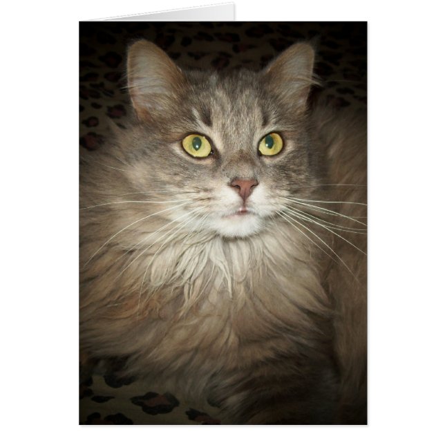 Cartão Posicionamento (Frente)